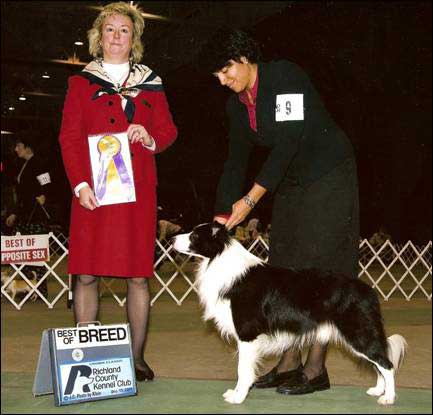 Handled by Pam Williams; Photo by K. Booth