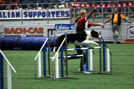 Photo Credit: Eric Bobkowski